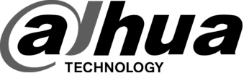 Dahua_Logo-gs